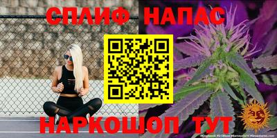 мдма Камышлов