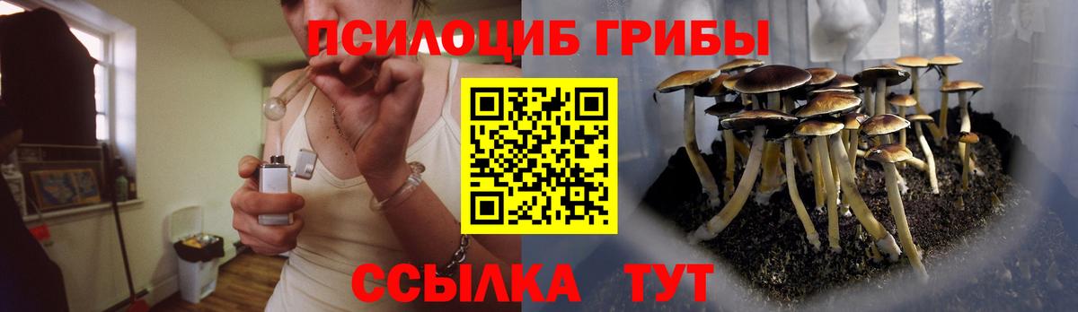 Галлюциногенные грибы Psilocybe Глазов